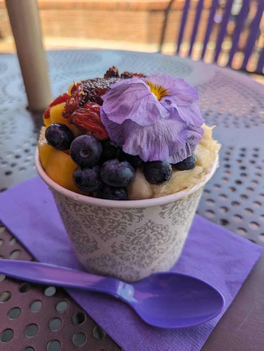 Acai Nation Photos 2